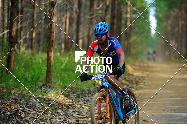 Buy your photos of the event16 Edio Maratona 100Km Canaviais on Fotop
