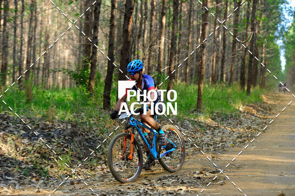 Buy your photos of the event16 Edio Maratona 100Km Canaviais on Fotop