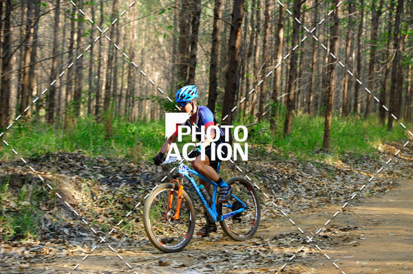 Buy your photos of the event16 Edio Maratona 100Km Canaviais on Fotop