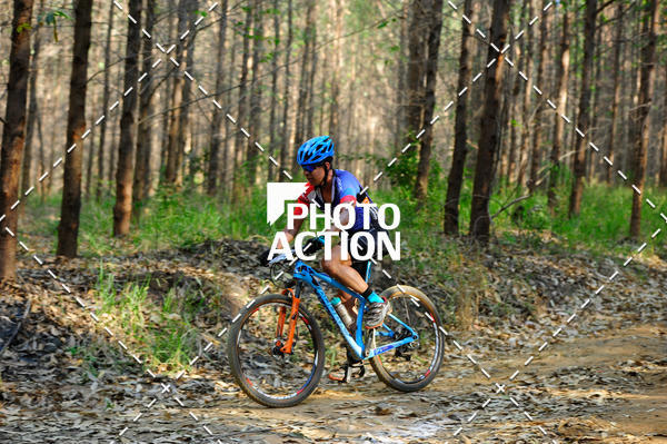 Buy your photos of the event16 Edio Maratona 100Km Canaviais on Fotop
