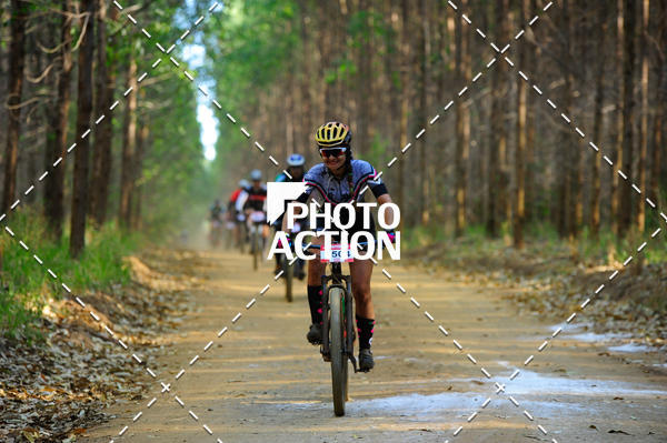Buy your photos of the event16 Edio Maratona 100Km Canaviais on Fotop