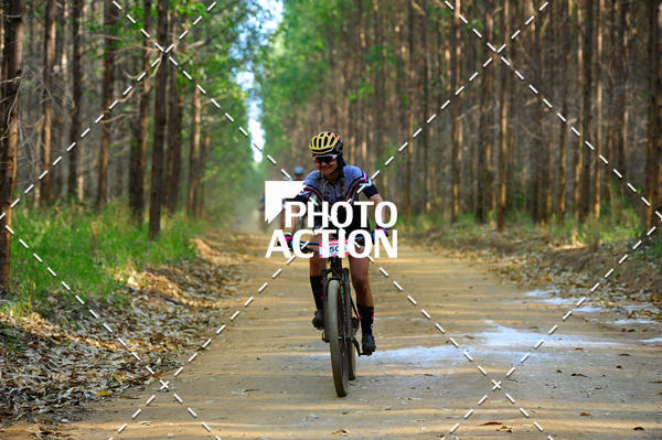 Buy your photos of the event16 Edio Maratona 100Km Canaviais on Fotop