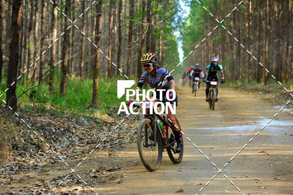 Buy your photos of the event16 Edio Maratona 100Km Canaviais on Fotop