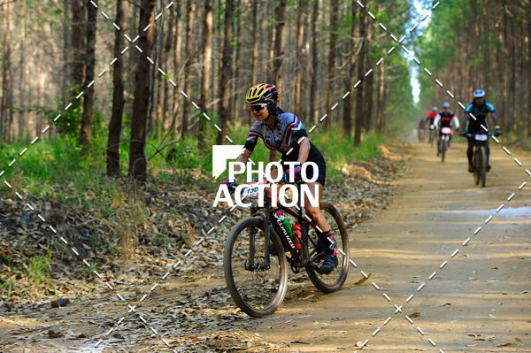Buy your photos of the event16 Edio Maratona 100Km Canaviais on Fotop