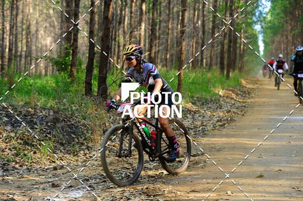 Buy your photos of the event16 Edio Maratona 100Km Canaviais on Fotop