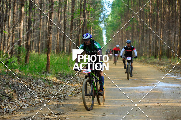 Buy your photos of the event16 Edio Maratona 100Km Canaviais on Fotop