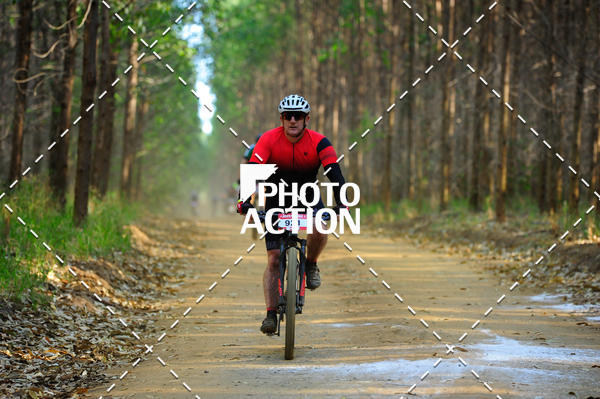Buy your photos of the event16 Edio Maratona 100Km Canaviais on Fotop
