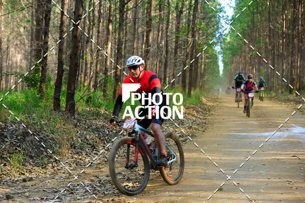 Buy your photos of the event16 Edio Maratona 100Km Canaviais on Fotop