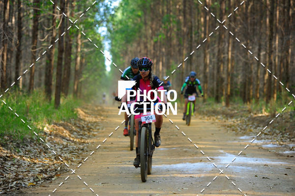 Buy your photos of the event16 Edio Maratona 100Km Canaviais on Fotop