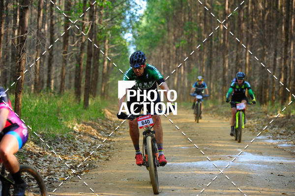 Buy your photos of the event16 Edio Maratona 100Km Canaviais on Fotop