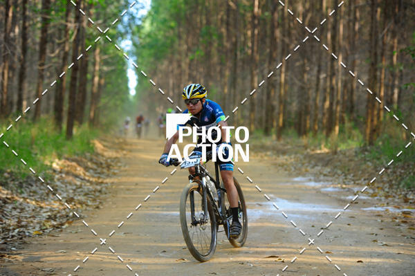 Buy your photos of the event16 Edio Maratona 100Km Canaviais on Fotop