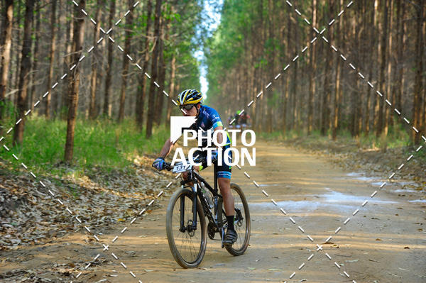 Buy your photos of the event16 Edio Maratona 100Km Canaviais on Fotop