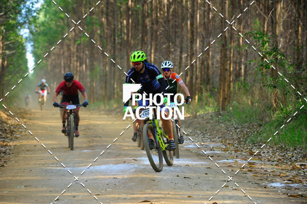 Buy your photos of the event16 Edio Maratona 100Km Canaviais on Fotop