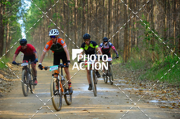 Buy your photos of the event16 Edio Maratona 100Km Canaviais on Fotop