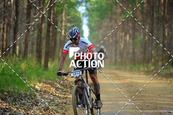 Buy your photos of the event16 Edio Maratona 100Km Canaviais on Fotop