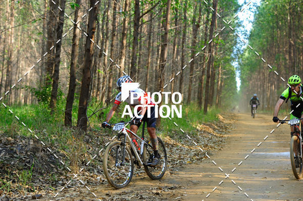 Buy your photos of the event16 Edio Maratona 100Km Canaviais on Fotop
