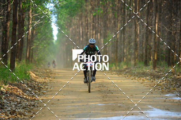 Buy your photos of the event16 Edio Maratona 100Km Canaviais on Fotop