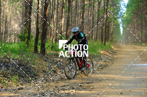 Buy your photos of the event16 Edio Maratona 100Km Canaviais on Fotop
