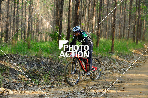 Buy your photos of the event16 Edio Maratona 100Km Canaviais on Fotop