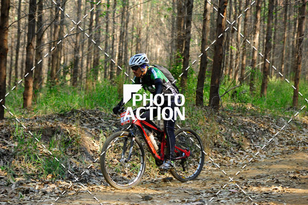 Buy your photos of the event16 Edio Maratona 100Km Canaviais on Fotop