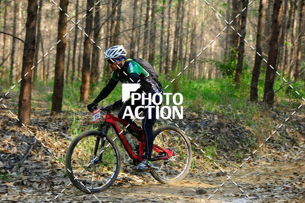 Buy your photos of the event16 Edio Maratona 100Km Canaviais on Fotop