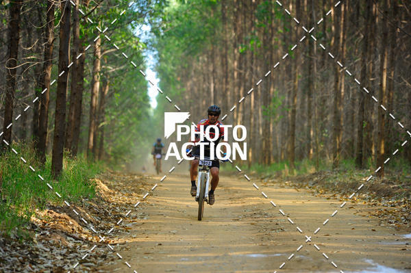 Buy your photos of the event16 Edio Maratona 100Km Canaviais on Fotop