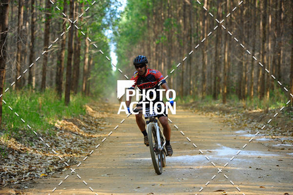 Buy your photos of the event16 Edio Maratona 100Km Canaviais on Fotop