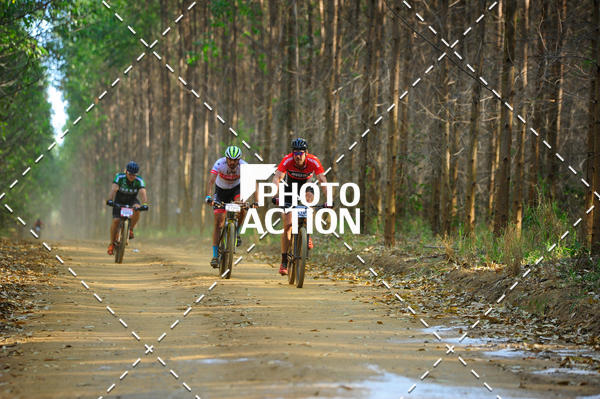 Buy your photos of the event16 Edio Maratona 100Km Canaviais on Fotop