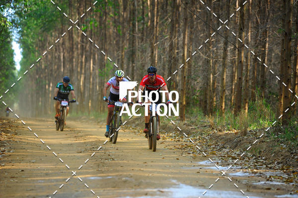Buy your photos of the event16 Edio Maratona 100Km Canaviais on Fotop