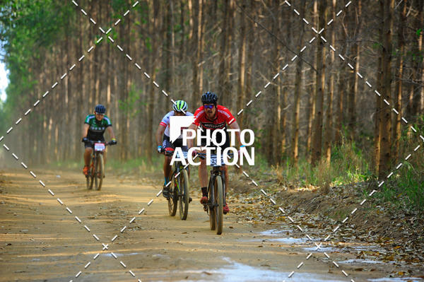 Buy your photos of the event16 Edio Maratona 100Km Canaviais on Fotop