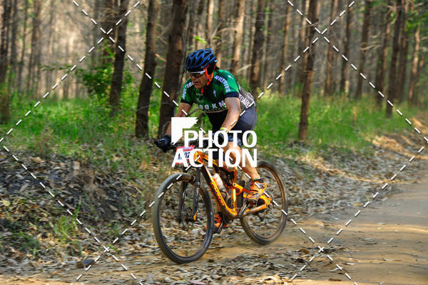 Buy your photos of the event16 Edio Maratona 100Km Canaviais on Fotop