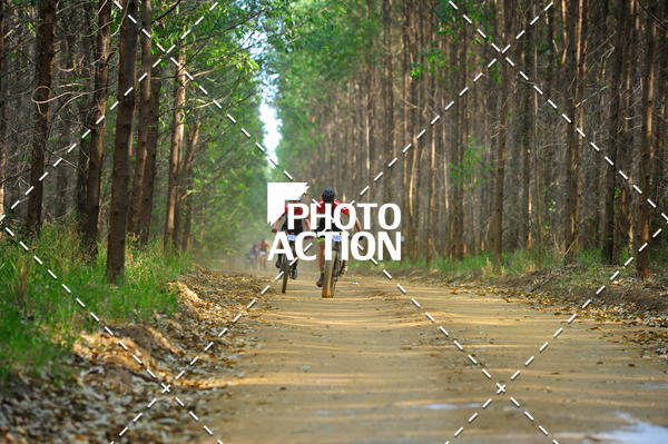 Buy your photos of the event16 Edio Maratona 100Km Canaviais on Fotop