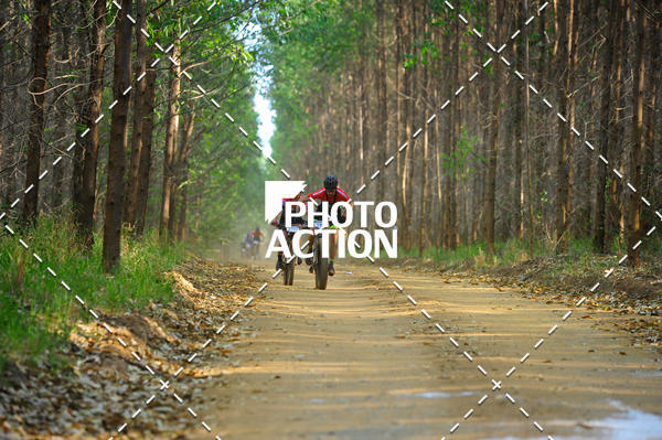 Buy your photos of the event16 Edio Maratona 100Km Canaviais on Fotop