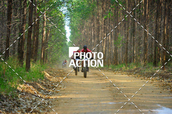 Buy your photos of the event16 Edio Maratona 100Km Canaviais on Fotop