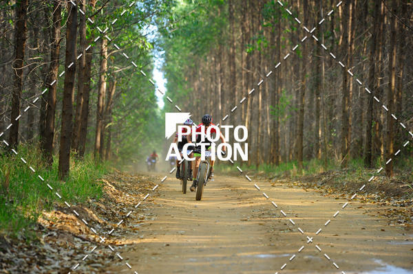 Buy your photos of the event16 Edio Maratona 100Km Canaviais on Fotop
