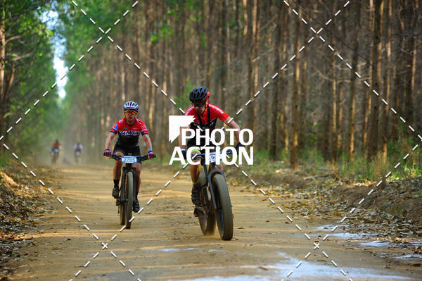Buy your photos of the event16 Edio Maratona 100Km Canaviais on Fotop