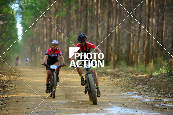 Buy your photos of the event16 Edio Maratona 100Km Canaviais on Fotop