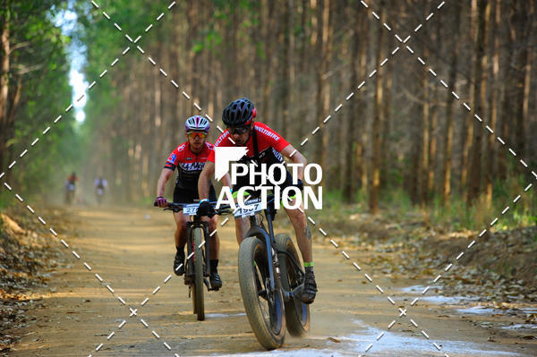 Buy your photos of the event16 Edio Maratona 100Km Canaviais on Fotop
