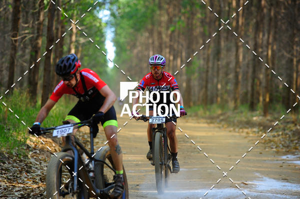 Buy your photos of the event16 Edio Maratona 100Km Canaviais on Fotop