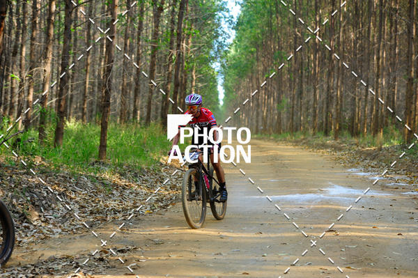 Buy your photos of the event16 Edio Maratona 100Km Canaviais on Fotop