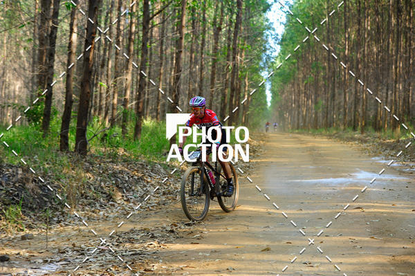 Buy your photos of the event16 Edio Maratona 100Km Canaviais on Fotop