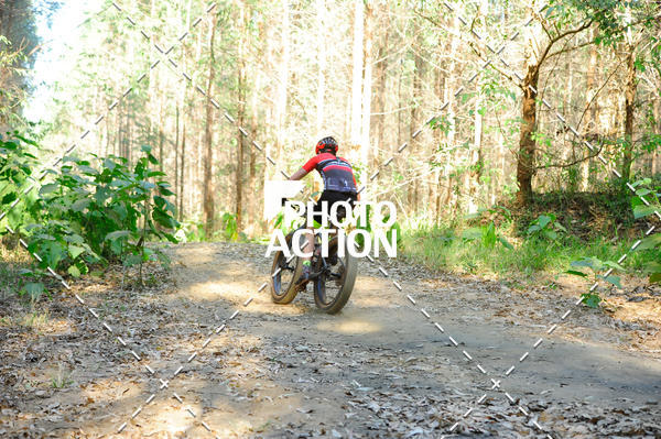 Buy your photos of the event16 Edio Maratona 100Km Canaviais on Fotop