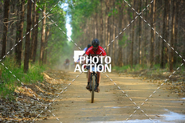 Buy your photos of the event16 Edio Maratona 100Km Canaviais on Fotop