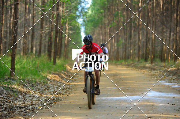 Buy your photos of the event16 Edio Maratona 100Km Canaviais on Fotop
