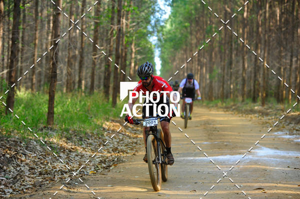 Buy your photos of the event16 Edio Maratona 100Km Canaviais on Fotop