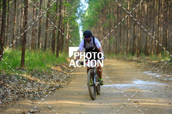 Buy your photos of the event16 Edio Maratona 100Km Canaviais on Fotop
