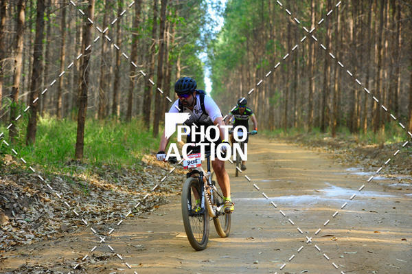 Buy your photos of the event16 Edio Maratona 100Km Canaviais on Fotop