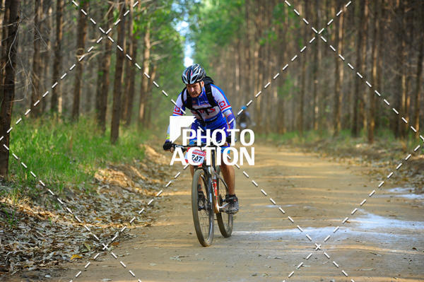 Buy your photos of the event16 Edio Maratona 100Km Canaviais on Fotop