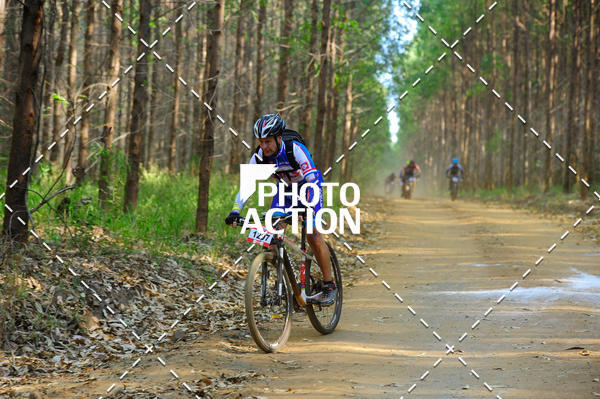 Buy your photos of the event16 Edio Maratona 100Km Canaviais on Fotop