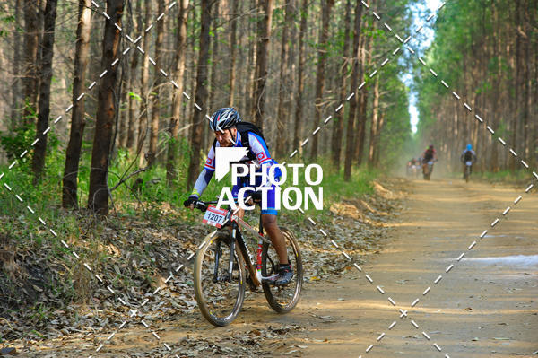 Buy your photos of the event16 Edio Maratona 100Km Canaviais on Fotop